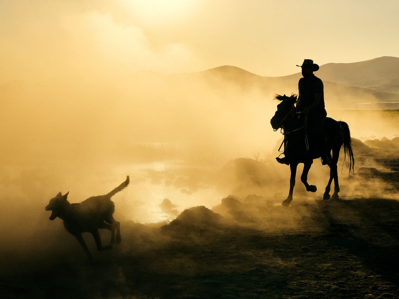Silhouette of a man on horseback with a dog in a misty, rural landscape at sunset.