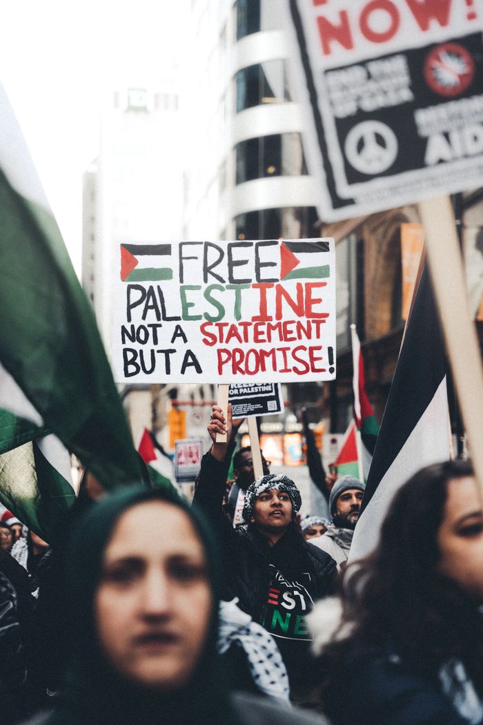 Crowd at a Palestine protest holding signs and banners advocating freedom and human rights.