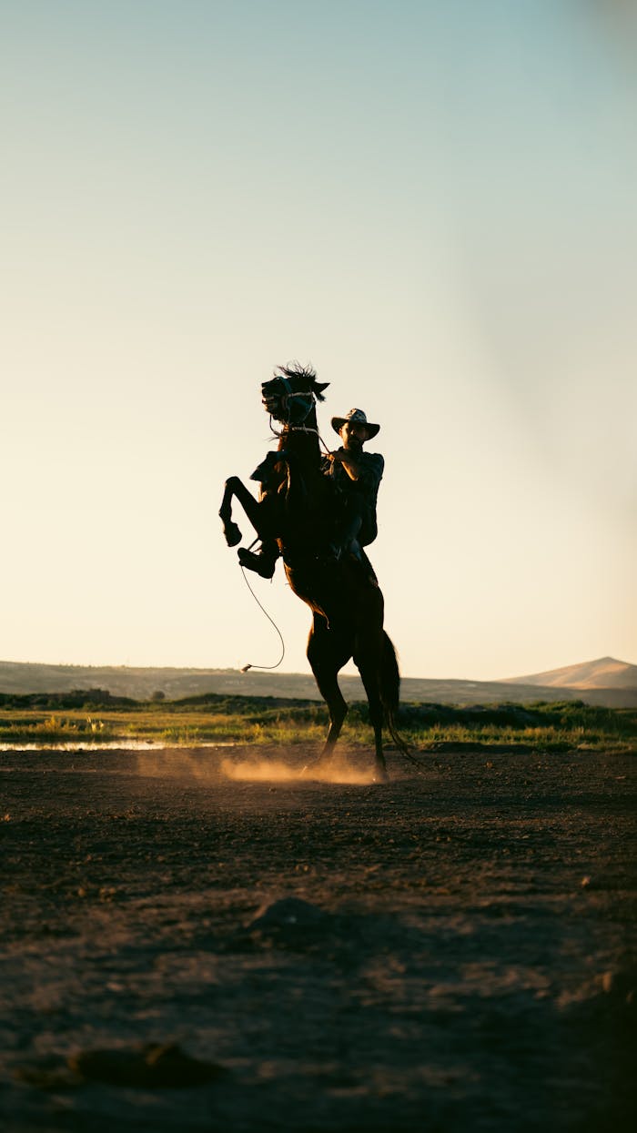 Dramatic silhouette of a cowboy riding a horse during sunset in the Turkish countryside.
