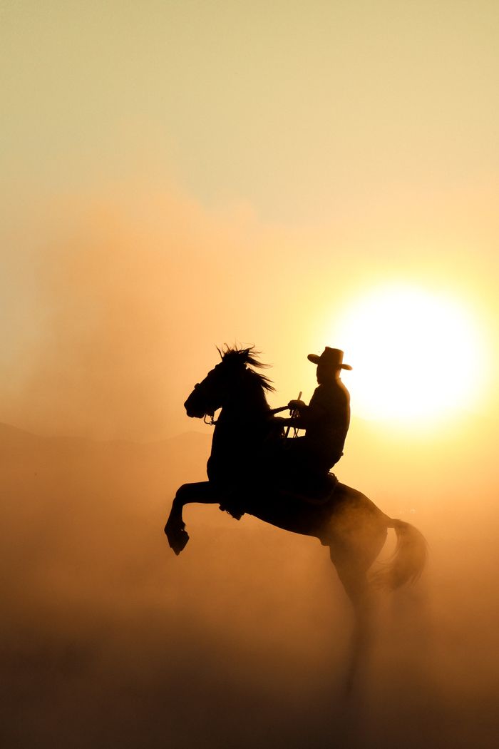 Dramatic silhouette of cowboy riding a horse at sunset, creating an adventurous scene.